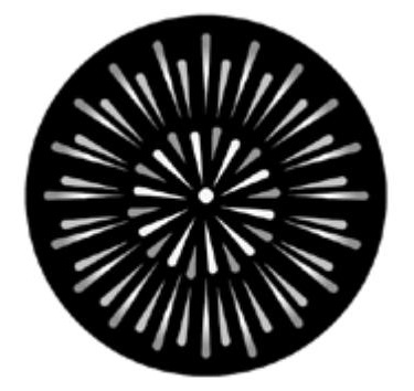 花火の種類(菊) 菊